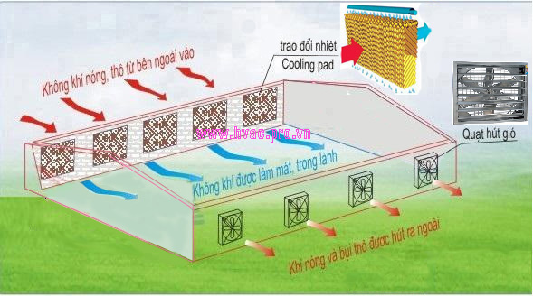 CÁCH LÀM MÁT NHANH, TIẾT KIỆM ĐIỆN CHO NGÔI NHÀ